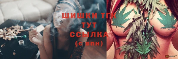 дживик Козельск