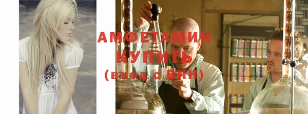 прущие грибы Киренск