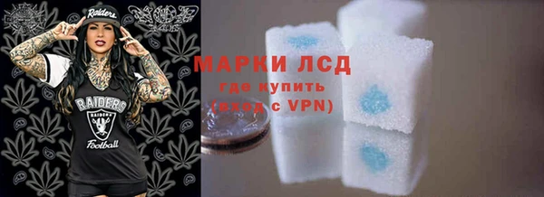 дживик Козельск
