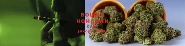 прущие грибы Киренск