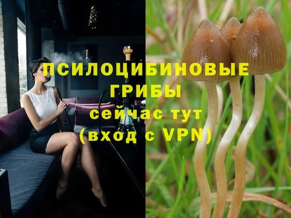 ALPHA-PVP Кинешма