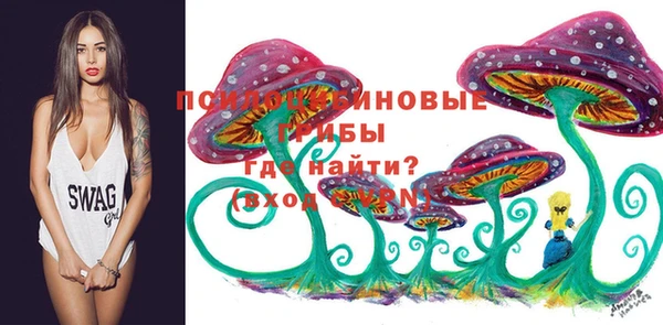 герыч Козловка