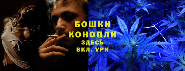 трава Кодинск